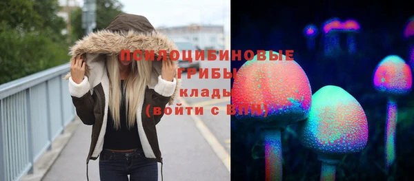 ГАЛЛЮЦИНОГЕННЫЕ ГРИБЫ Надым