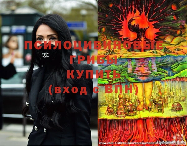 ГАЛЛЮЦИНОГЕННЫЕ ГРИБЫ Надым