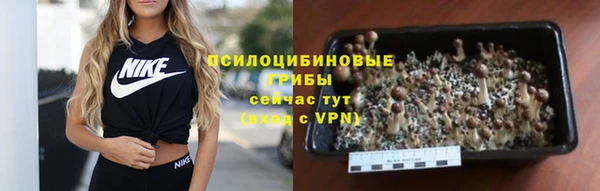 прущая мука Навашино